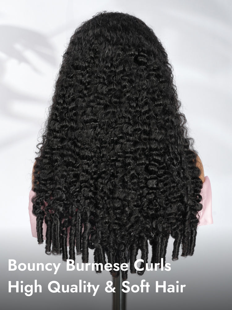 bouncy burmese curls