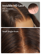 brown HD lace closure wig style