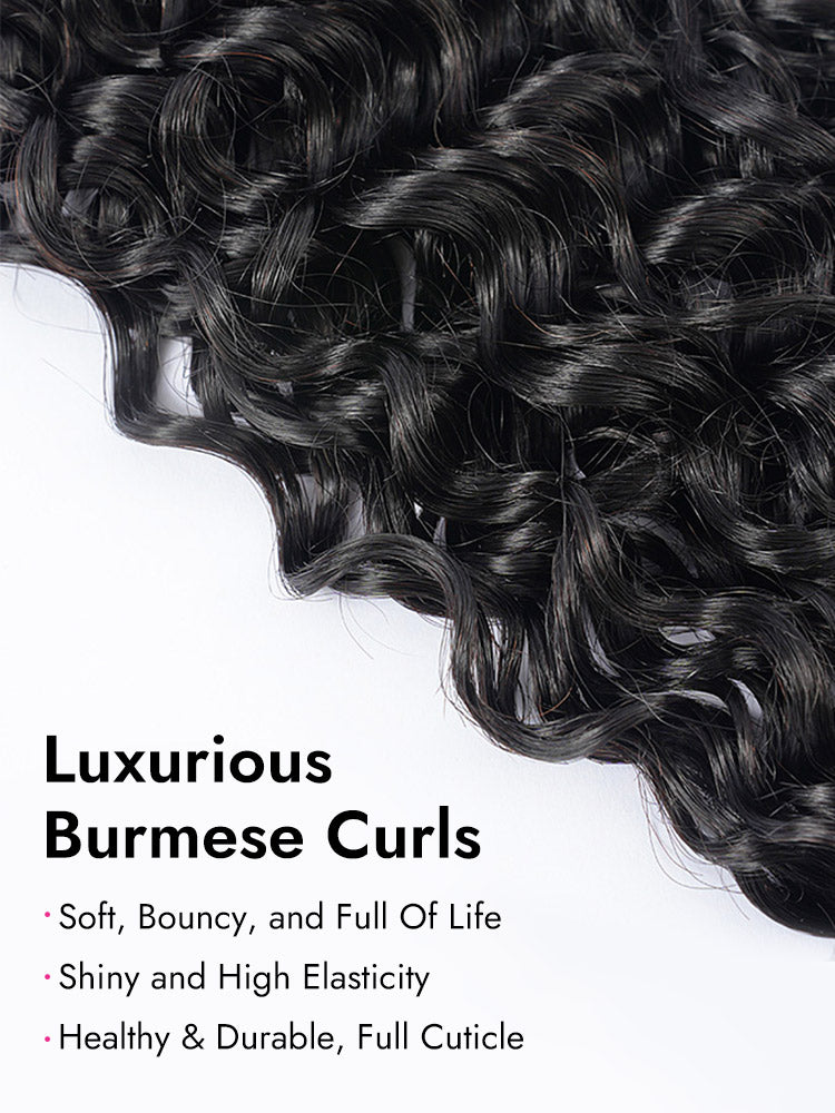 luxurious burmese curls