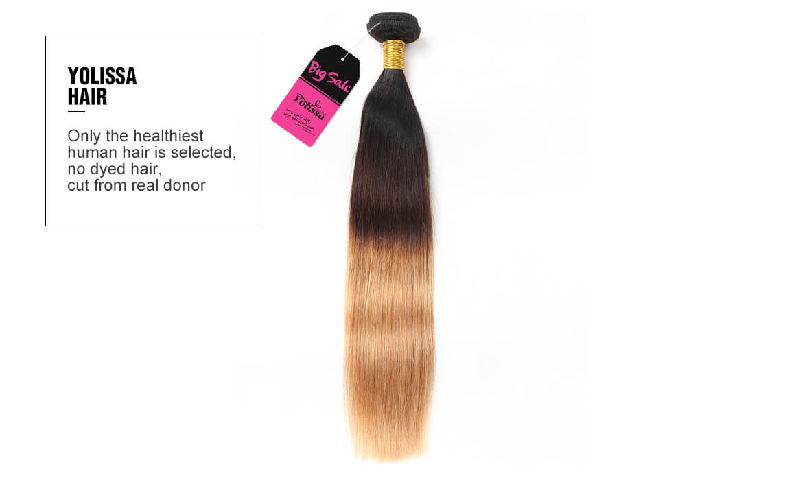 1B/4/27 Ombre Hair Color